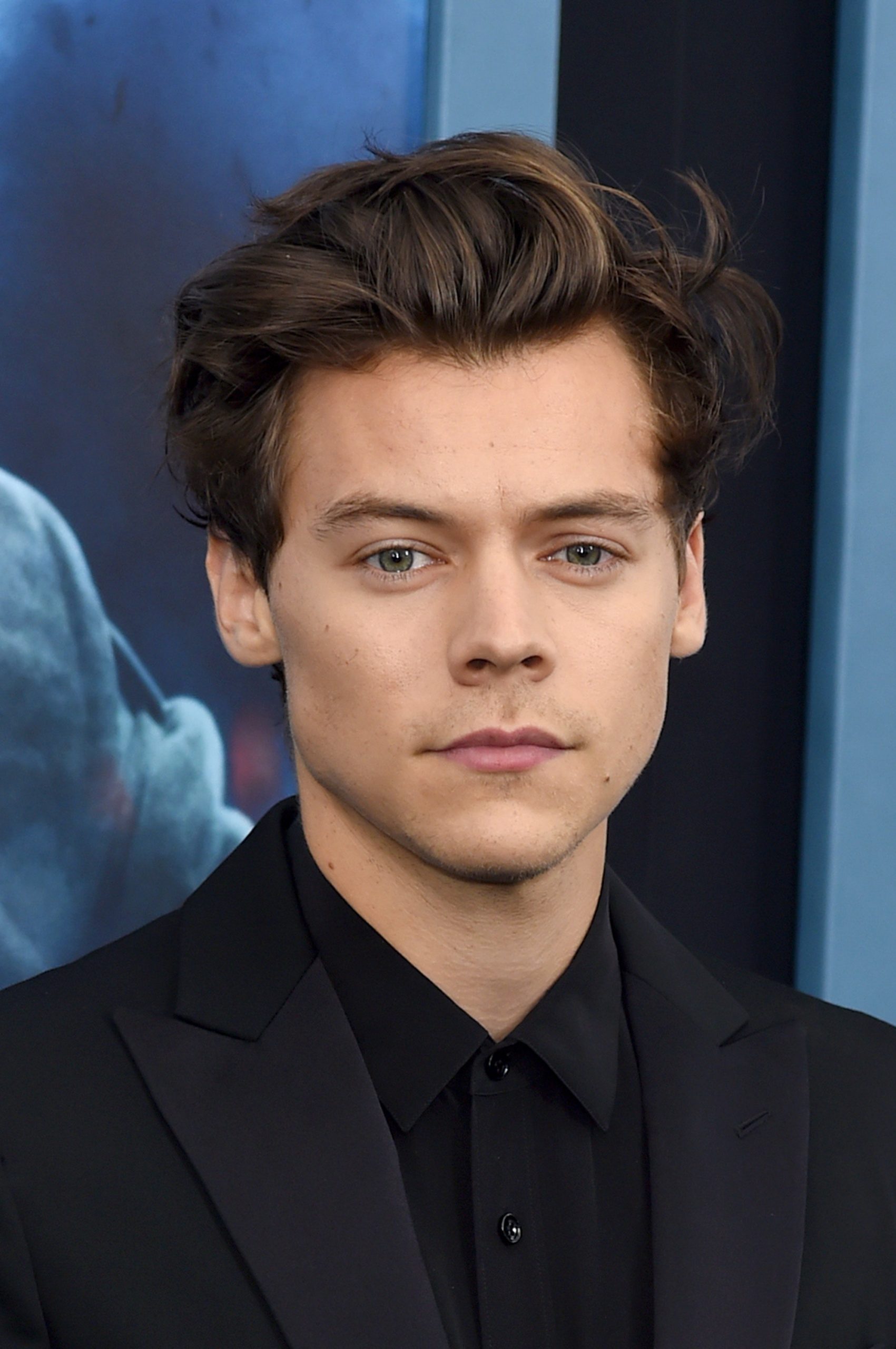 How Harry Styles’s Iconic Hair Has Evolved Over the Years Honk Magazine