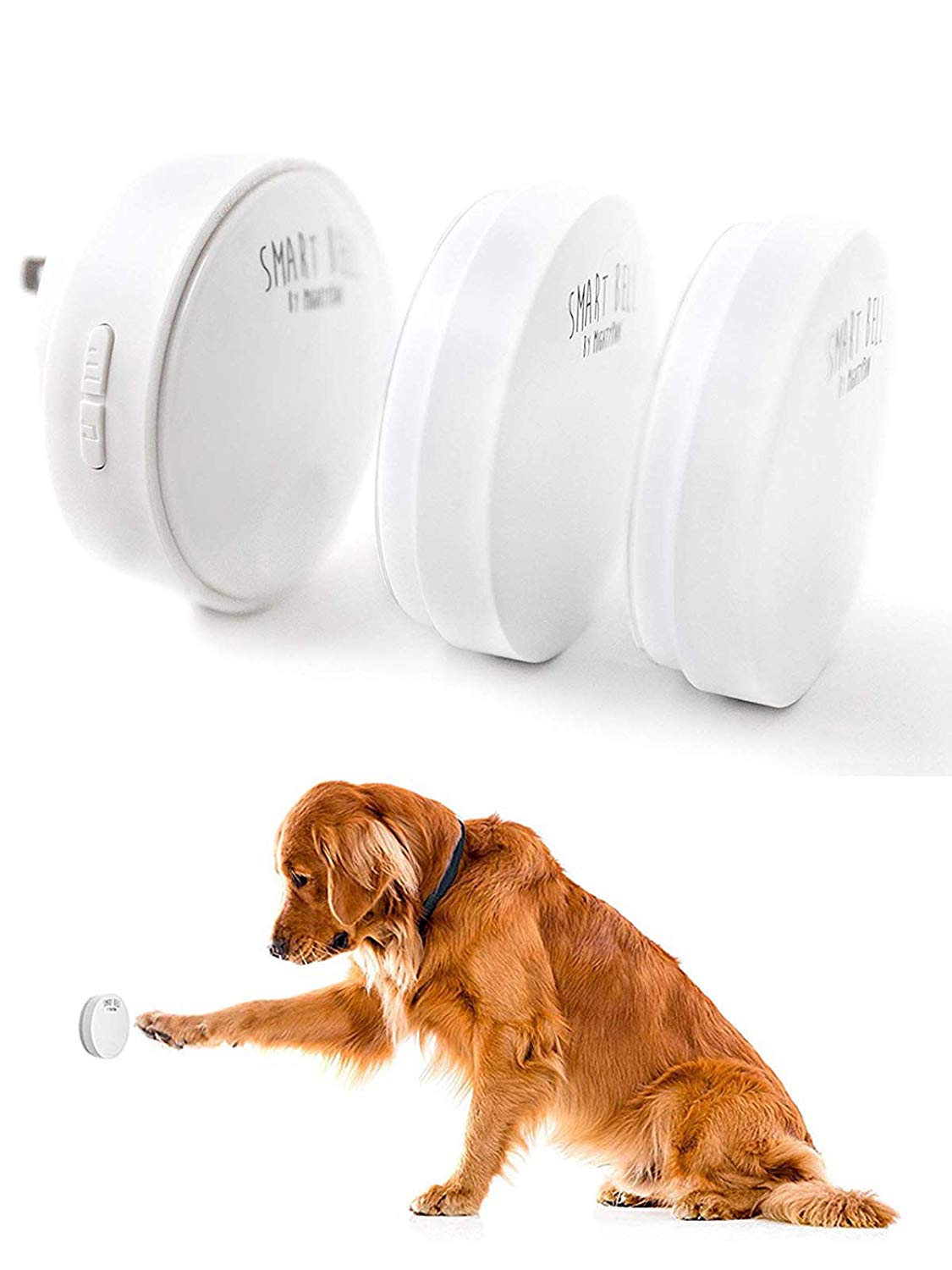 Might Paw Smart Bell amazon
