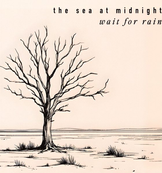 The Sea at Midnight