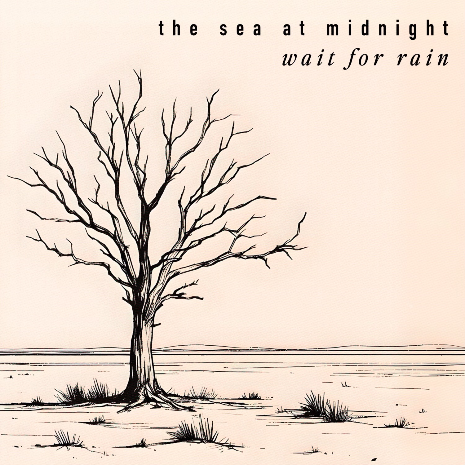 The Sea at Midnight