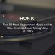 Music Artist on Honk Magazine