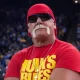 Hulk Hogan