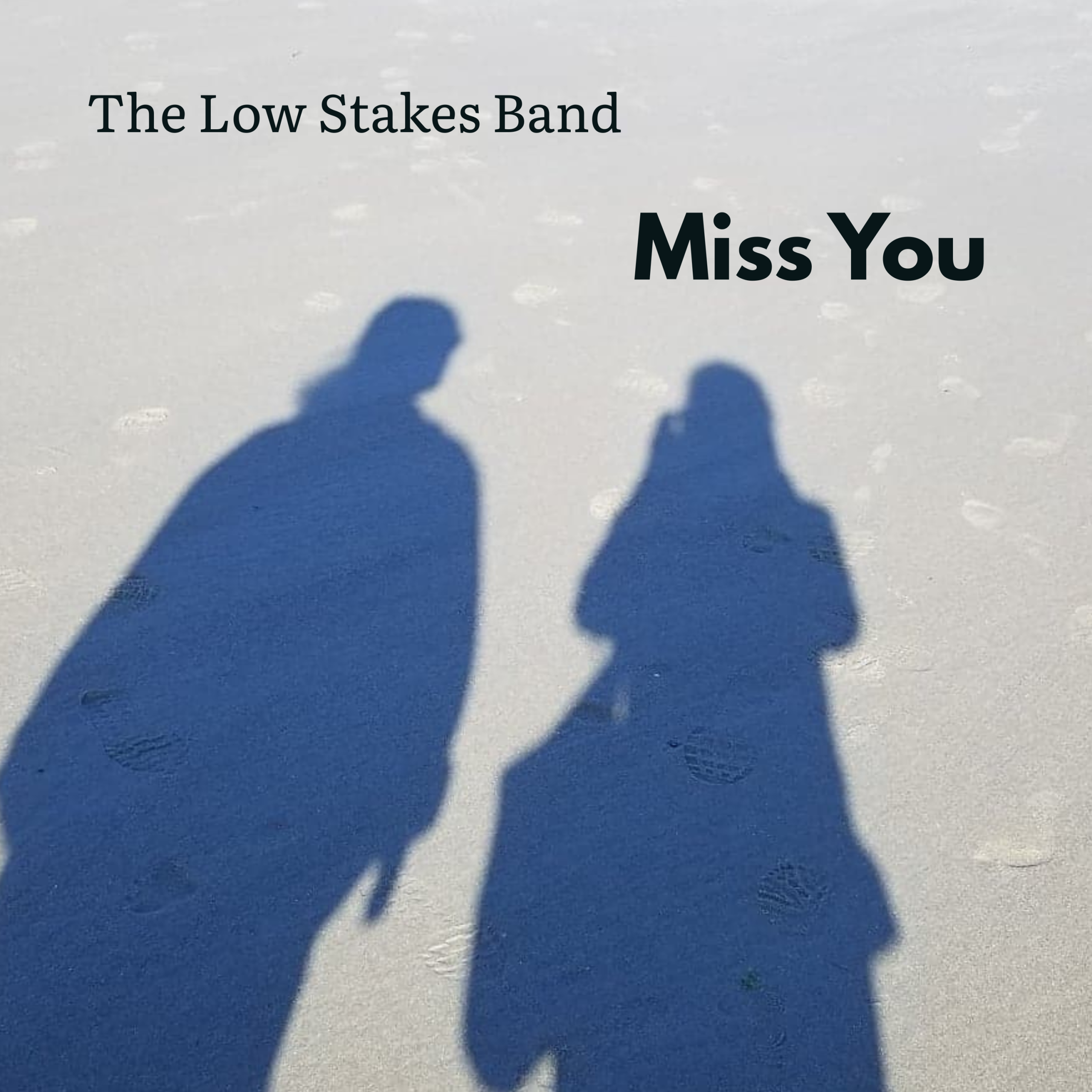 The Low Stakes Band