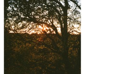 Jenny Gillespie Mason