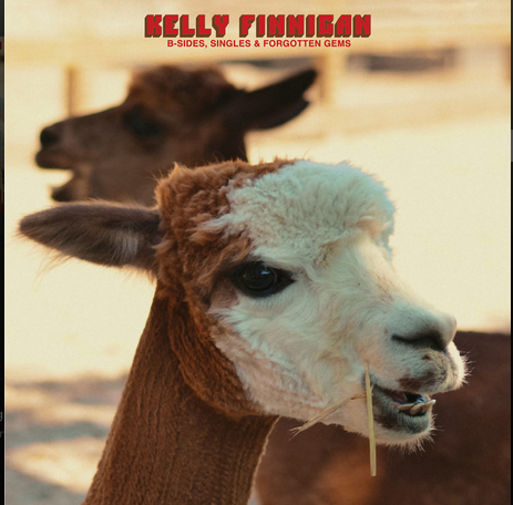Kelly Finnigan