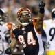 Houshmandzadeh